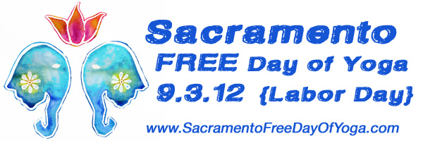 SFDOY-Banner